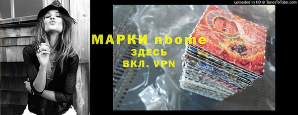 дмт Гусев