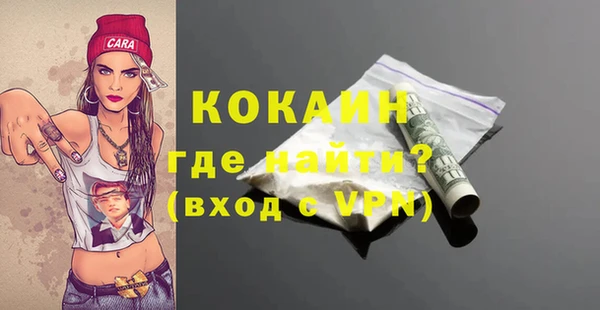 дмт Гусев