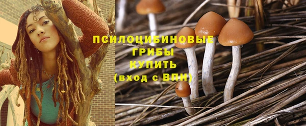 не бодяженный Гусиноозёрск