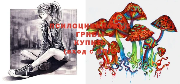 не бодяженный Гусиноозёрск