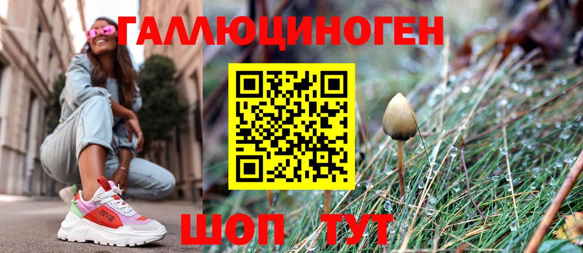 Галлюциногенные грибы ЛСД Гуково