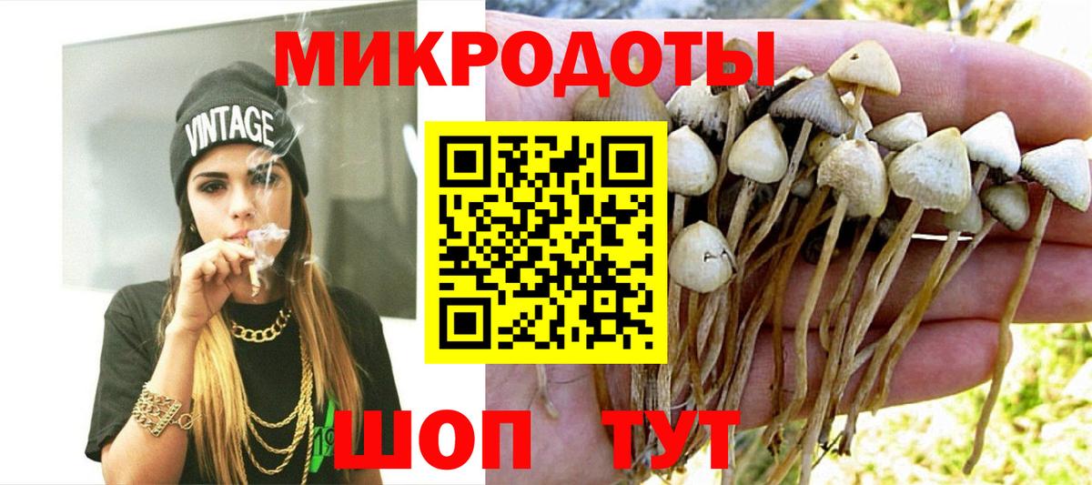 Псилоцибиновые грибы мухоморы Гуково