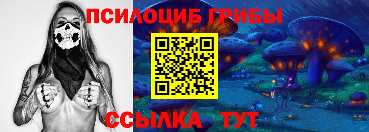 Галлюциногенные грибы Psilocybe  Вход с VPN  Псилоцибиновые грибы прущие грибы  Гуково 